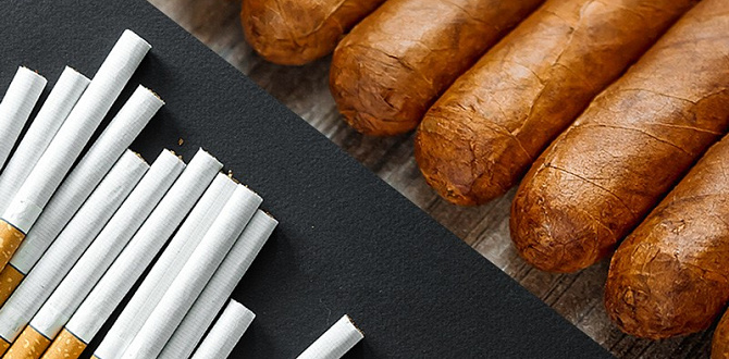 Чем сигара отличается от сигареты: вкус, состав, культура курения