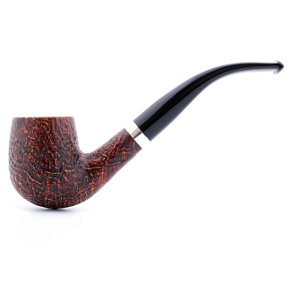 Barontini Pavia-01