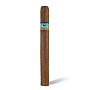 Сигары Cohiba Siglo III