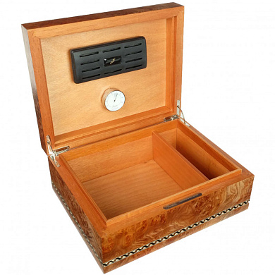 Хьюмидор Gentili SV50-Elm-matt - цена