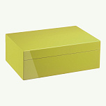 Хьюмидор Morici Roma Collection Pistachio - фото