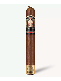 Сигары Bossner Caesar - фото