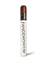 Сигары Asylum 13 Pandemonium 70 x 8 ½