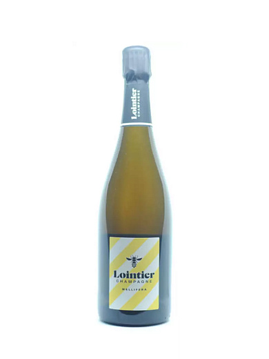 Игристое вино "LOINTIER" Mellifera Extra Brut 0.75 л - фото
