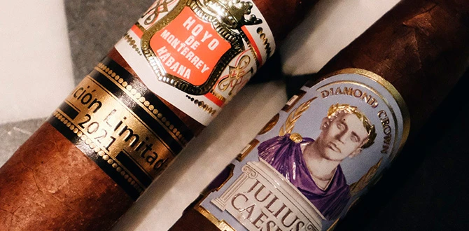 Из чего состоит сигара