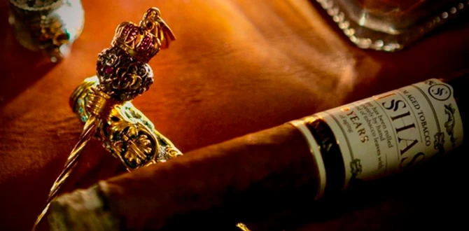 Докуреватель — полезный аксессуар - фото 4